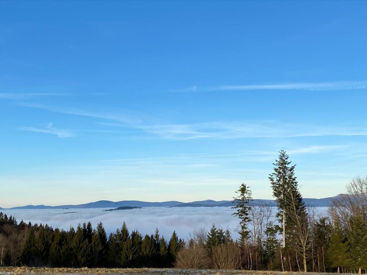 Uriges Top-Apartment Im Bayerischen Wald 3Br! +Netflix Schofweg Exterior photo